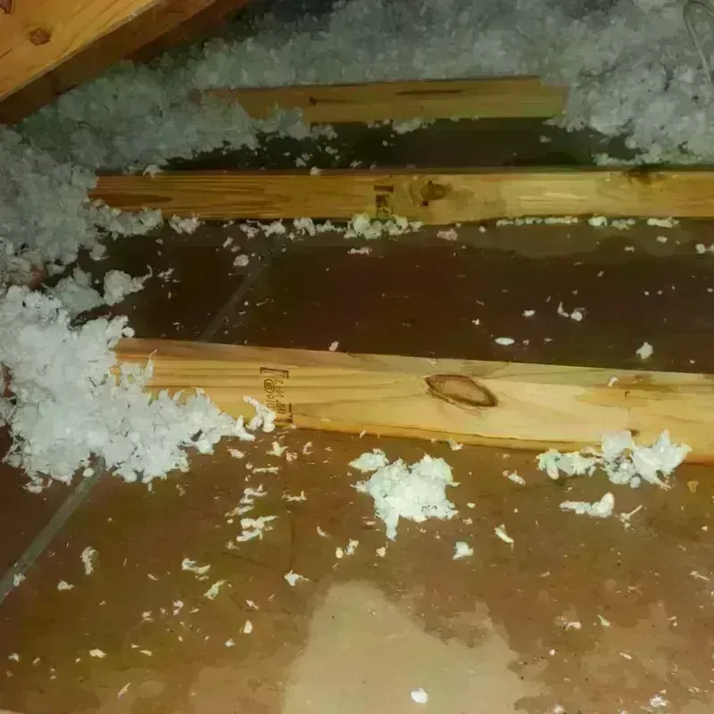 Attic Water Damage in Dale City, VA