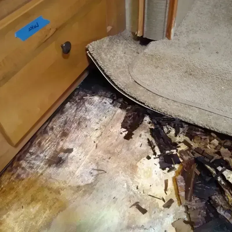 Wood Floor Water Damage in Dale City, VA